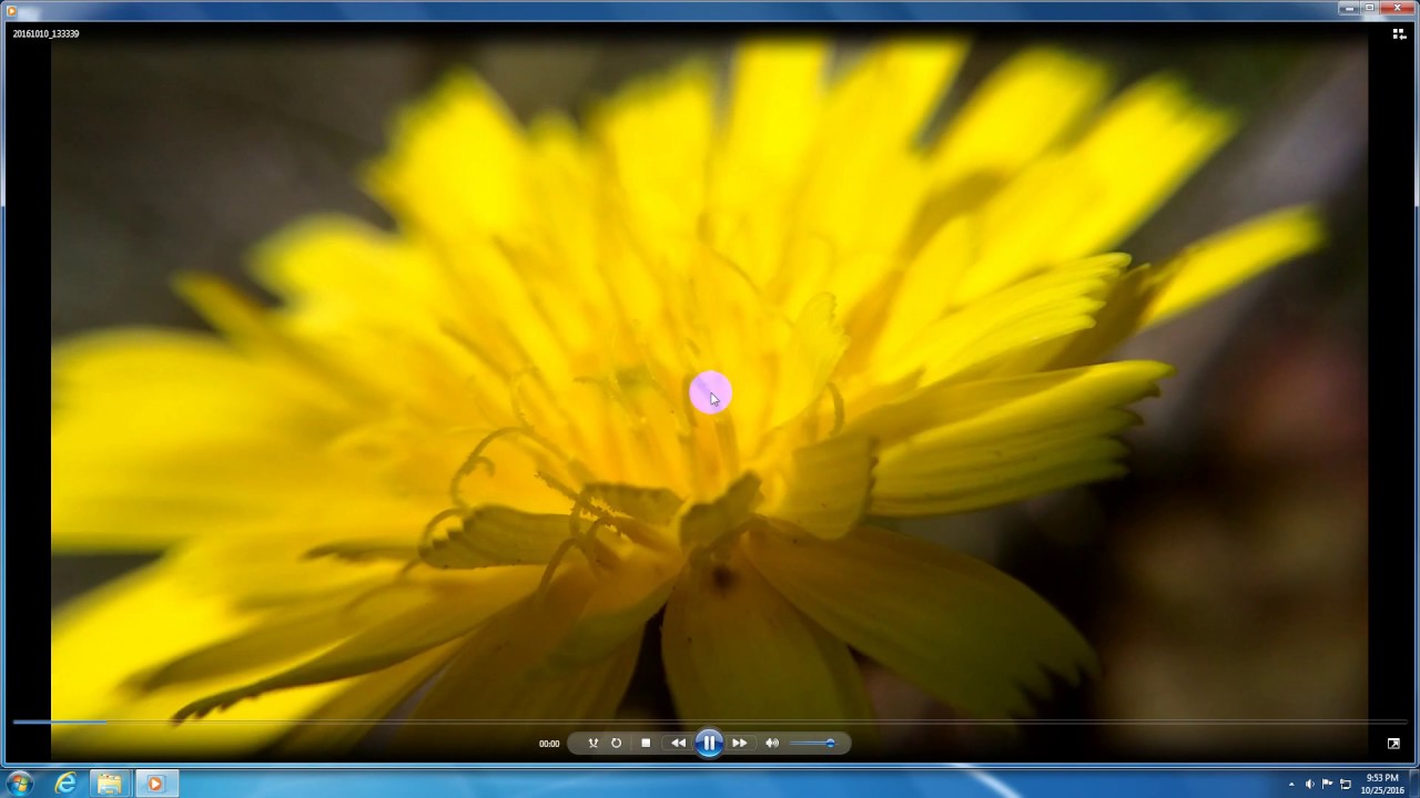 mp4 movie player for windows 7